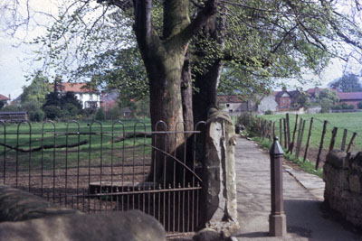 grbox13R011.jpg