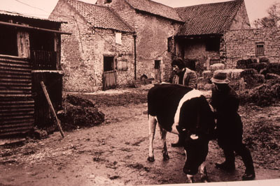 grbox13R018.jpg